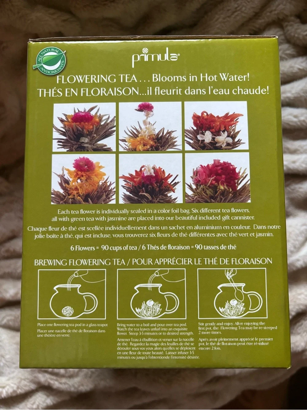 Primula clear glass